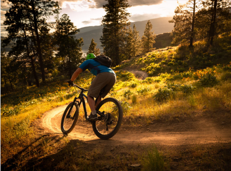 Biker_4-800-×-600px-09-07-2026_01_16_PM